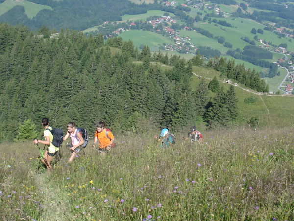 Stage Marche Glières